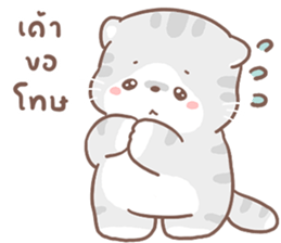 ลายที่ 45