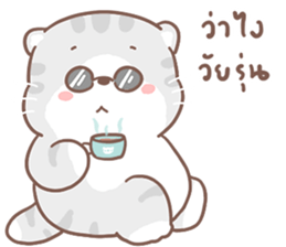 ลายที่ 47