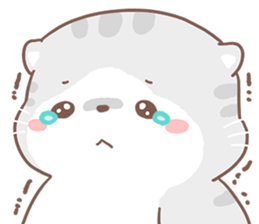 ลายที่ 51