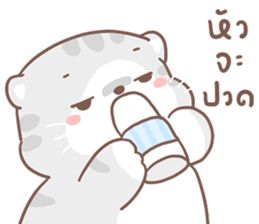 ลายที่ 63