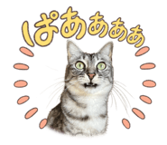 546981945