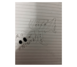 546993793