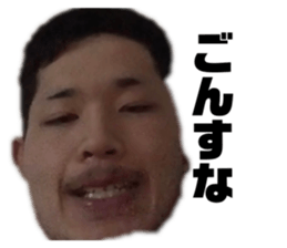 546995445