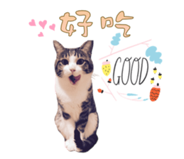 546998939