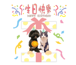 546998954