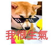 547018240