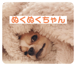 547097041