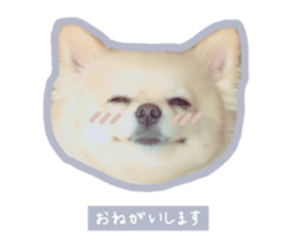 547179994
