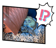 547209141