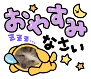 547209156