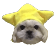 547233483