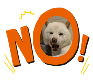 547249460