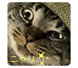 547250293
