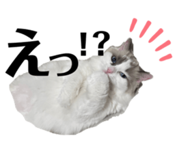 547250824