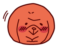 547254