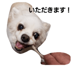 547263585