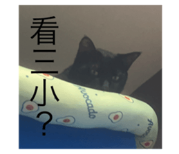547264511