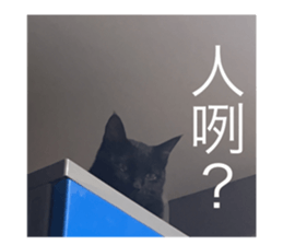 547264517