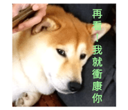 547306727