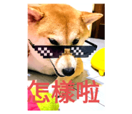 547306728