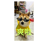 547306731