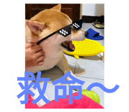 547306732