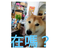 547306741