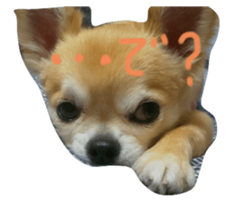 547335839
