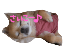 547335843