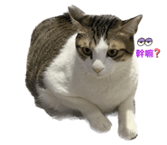 547365542