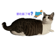 547365545