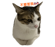 547365547