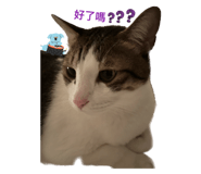 547365560