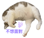 547365565