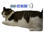 547365571