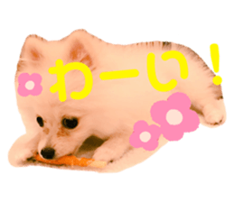 547447486