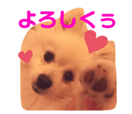 547447490