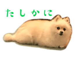 547447496