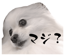 547447501