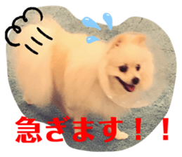 547447505