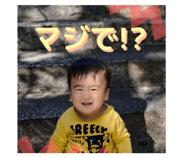 547454466