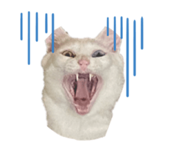 547468584