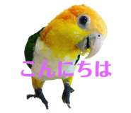 547481534