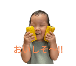 547481666