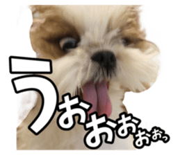 547491396