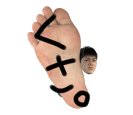 547499645