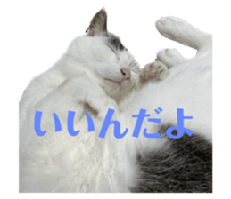 547514947