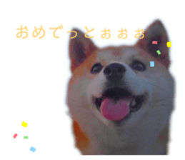 547528537