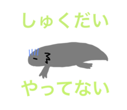 547544535