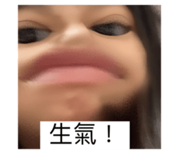 547568116